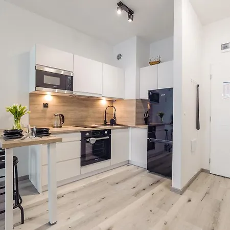 Apartman Sun & Snow Kapitanski Mostek